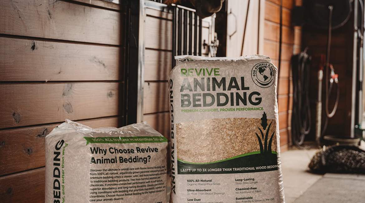 gal-bedding
