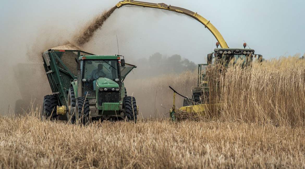 gal-harvest