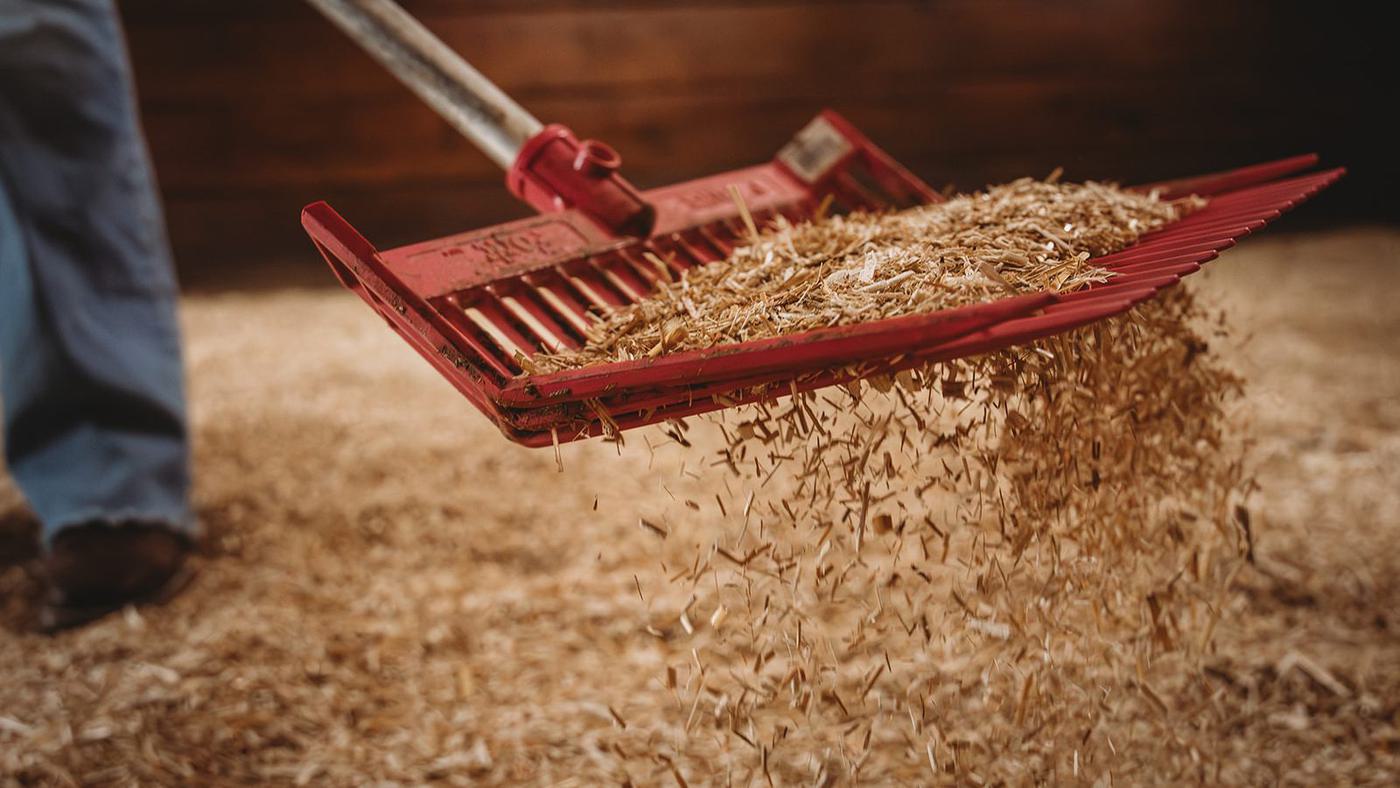 Rake spreading REVIVE miscanthus animal bedding