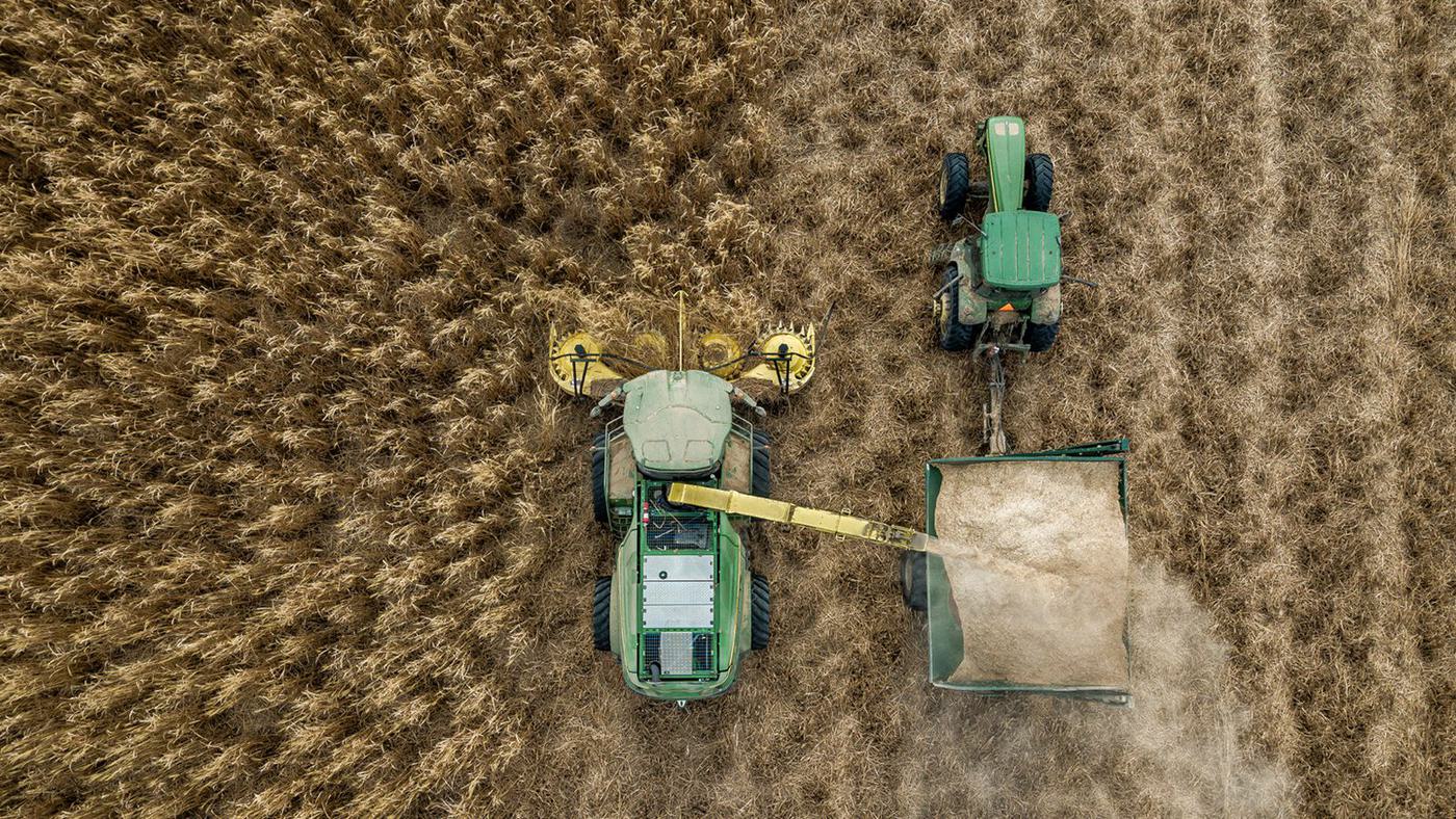 Aerial view of a harvester filling a trailer in a miscanthus field