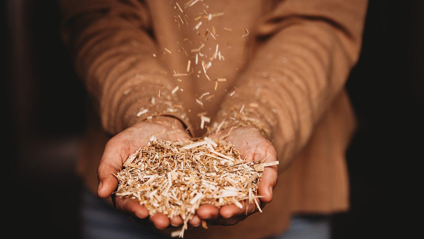 Hands pouring miscanthus fiber